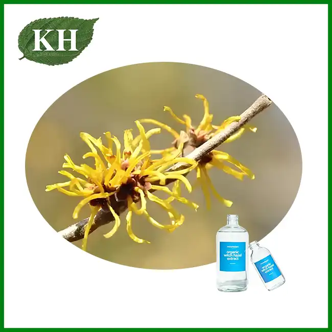 Witch Hazel Extract